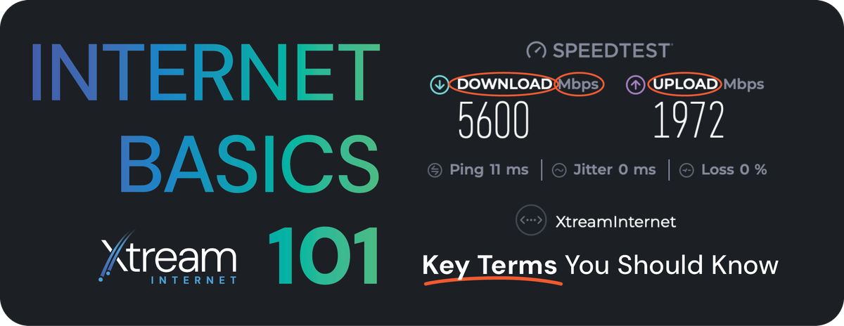 Internet Basics 101: Key Terms You Should Know