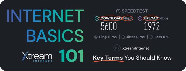 Internet Basics 101: Key Terms You Should Know